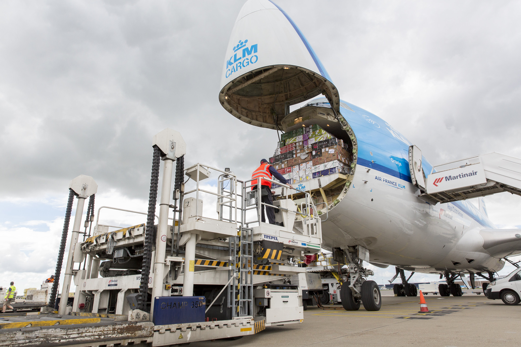 Cargo & Logistics